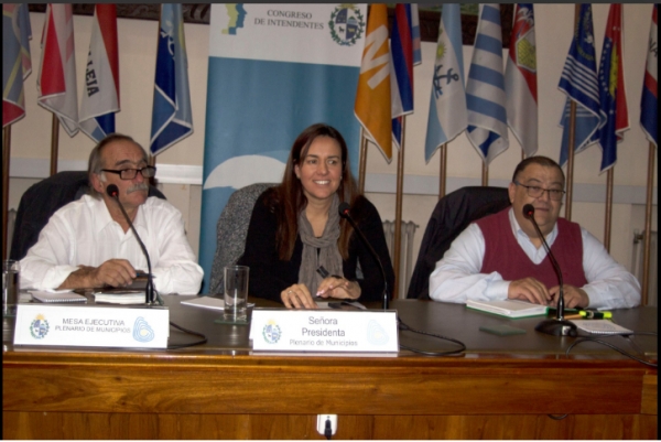 Georreferencimiento para la Gesti&oacute;n Local