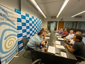 La Mesa Ejecutiva del Plenario de Municipios de Uruguay retom&oacute; sus sesiones